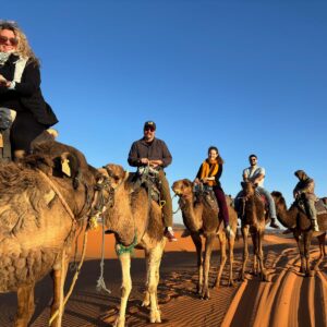 WhatsApp Image 2025-05-13 at 18.31.49