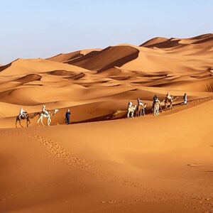 WhatsApp Image 2025-05-13 at 18.42.11