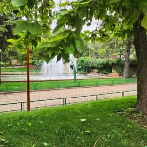 WhatsApp Image 2025-05-13 at 18.42.12