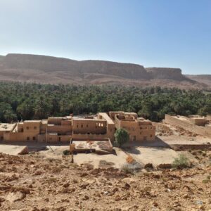 WhatsApp Image 2025-05-13 at 18.42.17 (1)